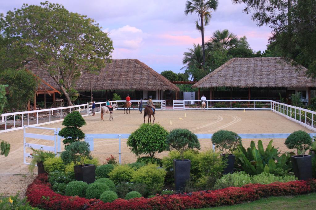 Donatela Resort And Sanctuary Panglao Exterior photo